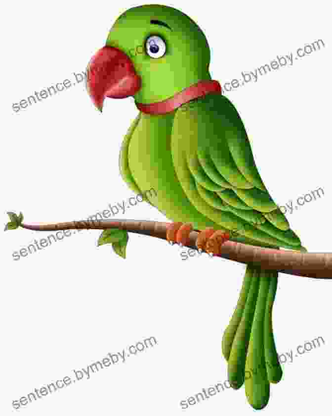 A Cartoon Illustration Of A Colorful Parrot Perched On A Branch. Bird Lovers Colorful Cartoon Illustrations