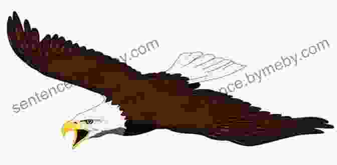 A Cartoon Illustration Of A Majestic Eagle Soaring Through The Skies. Bird Lovers Colorful Cartoon Illustrations