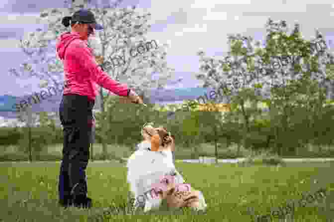 A Dog And Its Owner Training Together When Pigs Fly : Training Success With Impossible Dogs