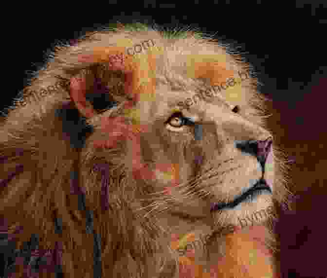 A Painting Of A Majestic Lion Dictionary Of Subjects And Symbols In Art