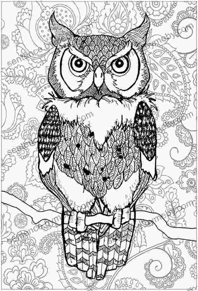 A Painting Of An Owl With Piercing Eyes Dictionary Of Subjects And Symbols In Art