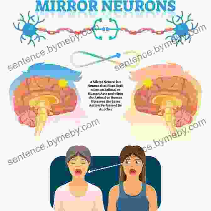 A Rider And Horse Displaying An Empathic Connection Due To Mirror Neuron Systems Horse Brain Human Brain: The Neuroscience Of Horsemanship