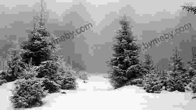 A Stunning Winter Forest Scene With Nicki's Lost Mitten In The Foreground The Mitten Jan Brett