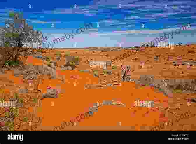 A Vast, Arid Outback Landscape Stretching To The Horizon Where Is Here?: 350 Years Of Exploring Australia