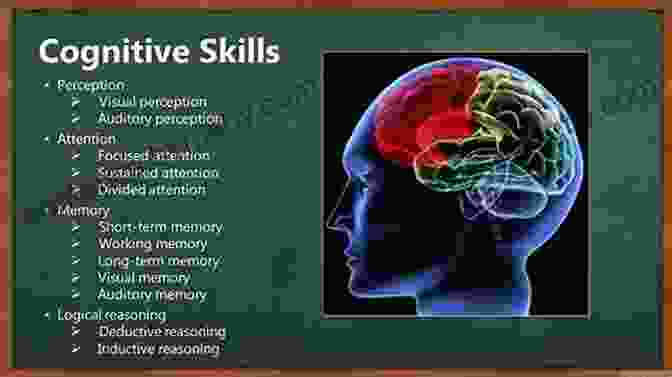 An Illustration Of Various Cognitive Processes, Such As Perception, Memory, Problem Solving, And Decision Making. The Student S Guide To Cognitive Neuroscience