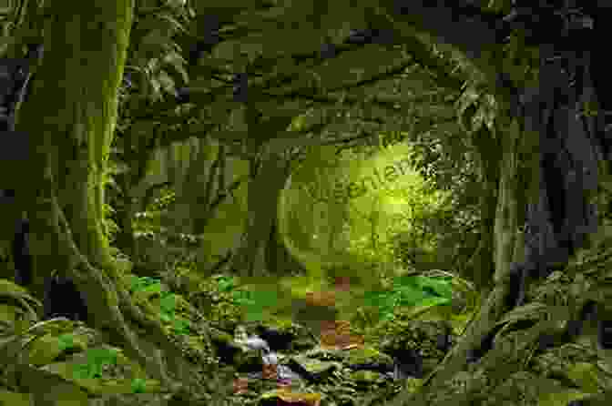 An Image Depicting A Lush Forest Scene, Showcasing The Diversity Of Plant And Animal Life The Fortunate Tiger And Other Close Encounters: Selected Writings