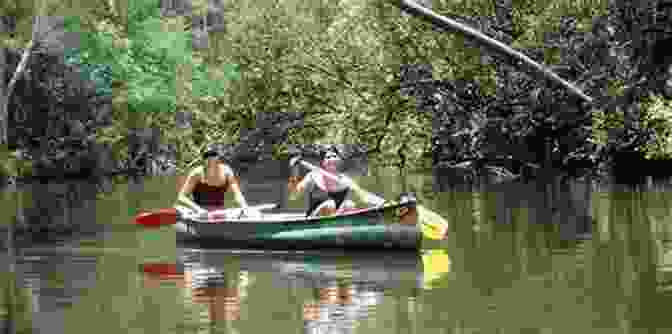 An Image Of A Canoe Sailing Through A River Of Mud In The Everglades Our Watery Way: Canoe Sailing In Rivers Of Mud