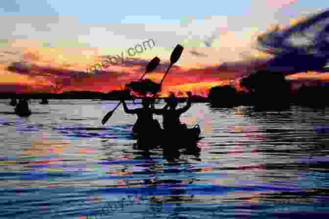 An Image Of John Craig Paddling His Canoe Towards Flamingo, His Destination Our Watery Way: Canoe Sailing In Rivers Of Mud