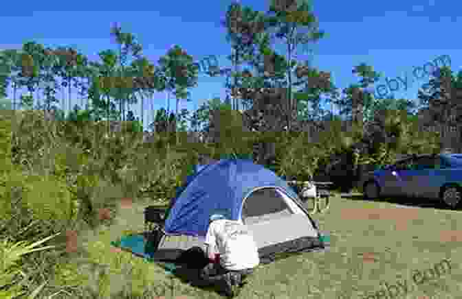 An Image Of John Craig Setting Up Camp In The Everglades Our Watery Way: Canoe Sailing In Rivers Of Mud