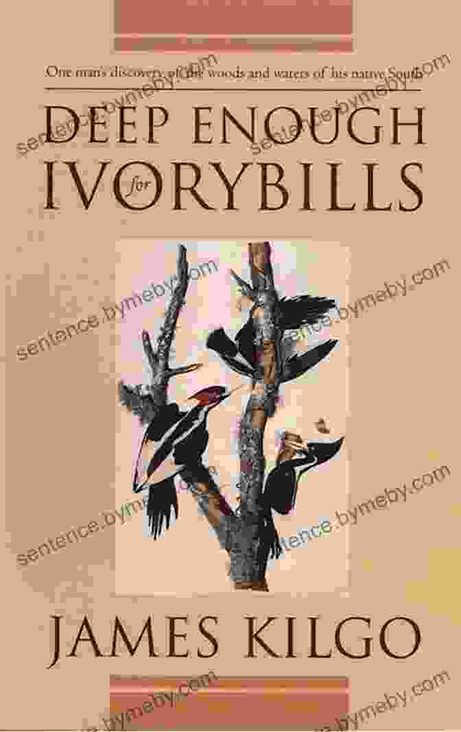 Book Cover Of Deep Enough For Ivorybills By James Kilgo Depicting A Vibrant Swamp Ecosystem With Towering Cypress Trees And A Glimpse Of An Ivory Billed Woodpecker In Flight. Deep Enough For Ivorybills James Kilgo