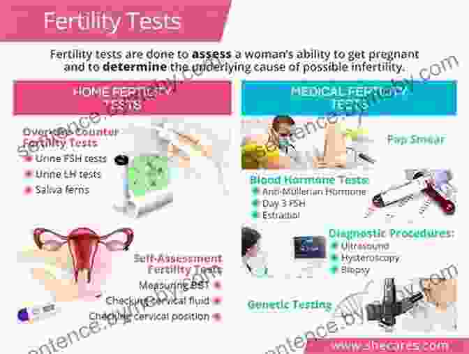 Chapter 2: Personalized Fertility Assessment Planting The Seeds Of Pregnancy:: An Integrative Approach To Fertility Care