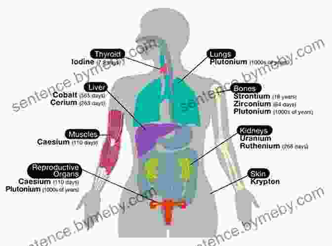 Diagram Of Human Anatomy. Beginners Drawing Guide: Master The Critical Details On How To Draw People: The Final Touches