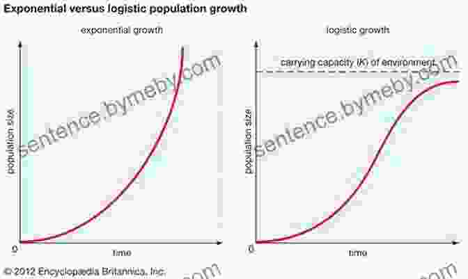 Exponential Consumption And Its Environmental Toll Capitalism Hits The Fan: The Global Economic Meltdown And What To Do About It