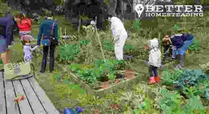 Family Tending To Their Suburban Homestead Garden Chicken And Egg: A Memoir Of Suburban Homesteading With 125 Recipes