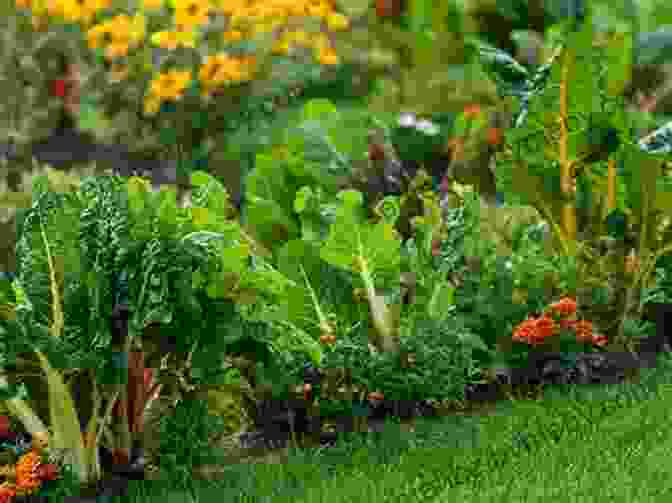 Image Of A Lush Garden Filled With Fresh Vegetables The Ultimate Self Sufficiency Handbook: A Complete Guide To Baking Crafts Gardening Preserving Your Harvest Raising Animals And More (Self Sufficiency Series)