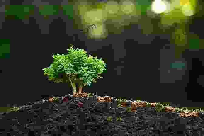 Image Of A Tree Growing Think And Grow Rich: The Secret To Wealth Updated For The 21St Century