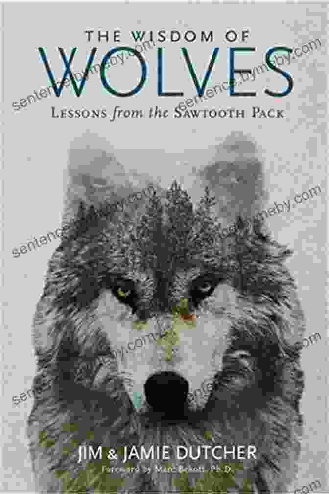 Lessons From The Sawtooth Pack Book Cover The Wisdom Of Wolves: Lessons From The Sawtooth Pack