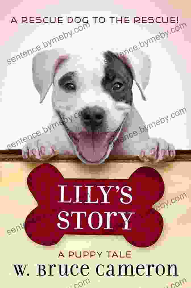 Lily Story Puppy Tale Lily S Story: A Puppy Tale