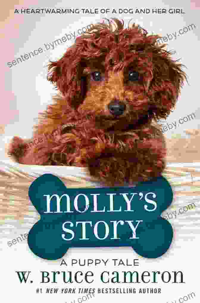 Molly Story Puppy Tale Book Cover Molly S Story: A Puppy Tale