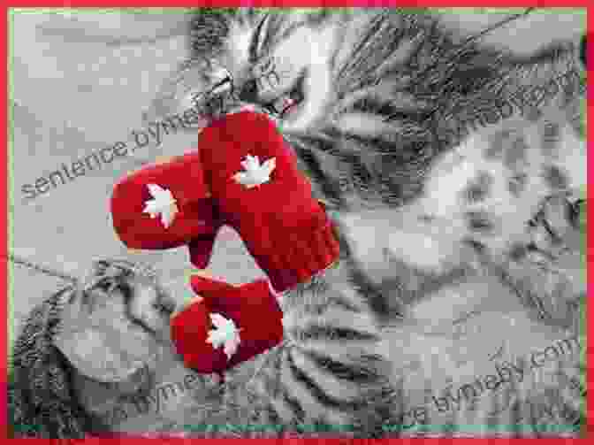 Pinky And Rex Holding Mittens, The Kitten, With A Bright Background Pinky And Rex And The Just Right Pet