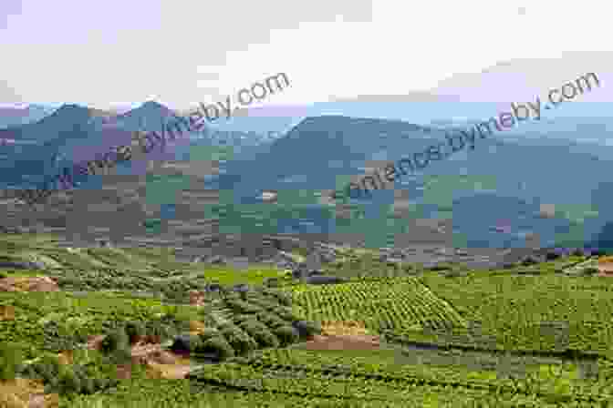 Stunning Vineyard Landscapes In Greece Flavor Of Greece Travel Guide: What To See Eat And Where To Stay To Have An Amazing Trip