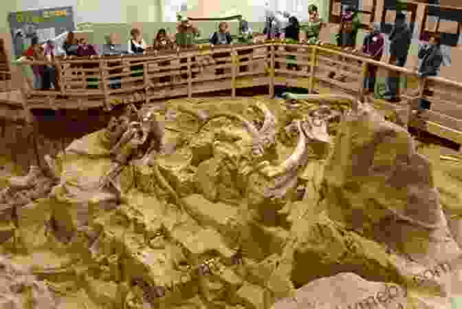 The Excavated Mammoth Skeleton At Monticello Bones In The White House: Thomas Jefferson S Mammoth