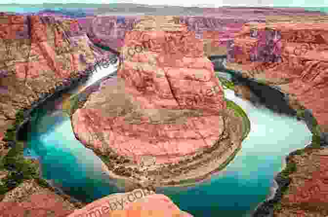 The Grand Canyon Rim, With The Horseshoe Library In The Foreground Brighty Of The Grand Canyon (Marguerite Henry Horseshoe Library 5)