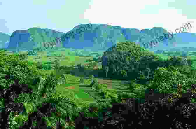 The Lush And Picturesque Viñales Valley Let S Look At Cuba (Let S Look At Countries)