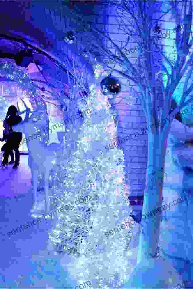 Triss Searching For The Perfect Christmas Tree In A Winter Wonderland Setting. Christmas Trolls Jan Brett