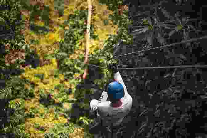 Zip Lining Through The Rainforest Canopy In Belize Belize The Little English Paradise