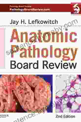 Anatomic Pathology Board Review Jay H Lefkowitch