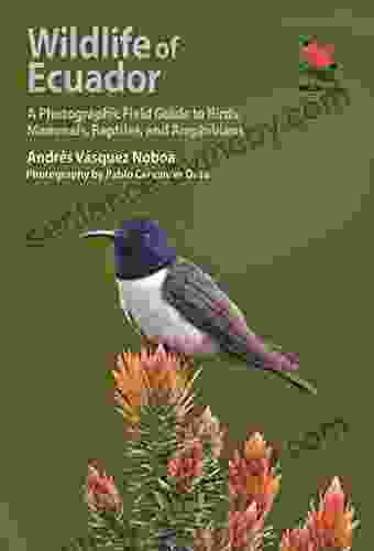 Wildlife Of Ecuador: A Photographic Field Guide To Birds Mammals Reptiles And Amphibians (Wildlife Explorer Guides)