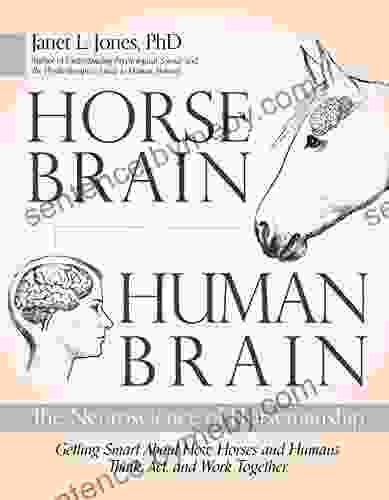 Horse Brain Human Brain: The Neuroscience Of Horsemanship