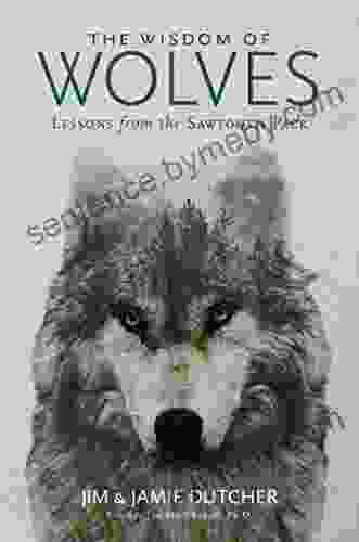 The Wisdom of Wolves: Lessons From the Sawtooth Pack