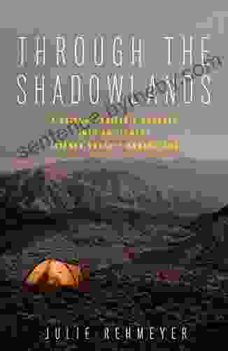 Through The Shadowlands: A Science Writer S Odyssey Into An Illness Science Doesn T Understand