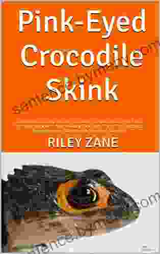 Pink Eyed Crocodile Skink : The Ultimate Guide On All You Need To Know About Pink Eyed Crocodile Skink Breeding Feeding Housing Tank Care Habitat Temperament Diet Health Lifespan Disease