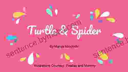 Turtle And Spider (Simple Stories)