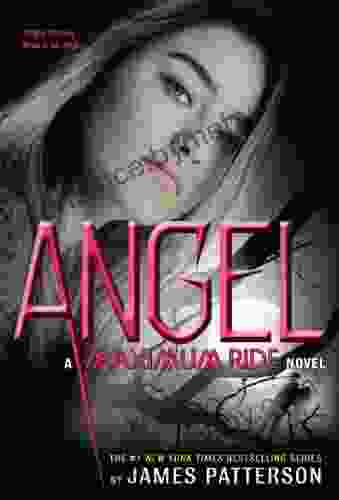 Angel: A Maximum Ride Novel